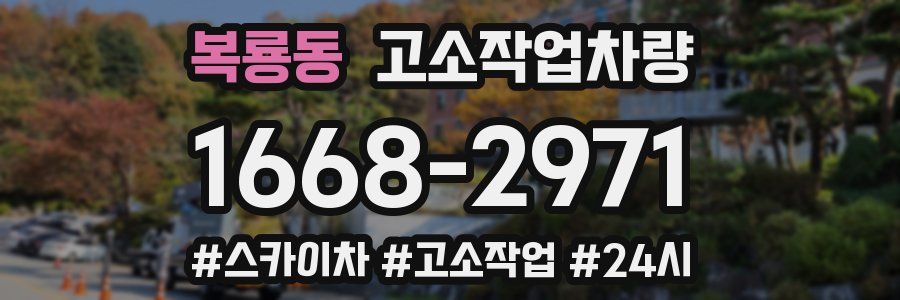 복룡동 고소작업차량