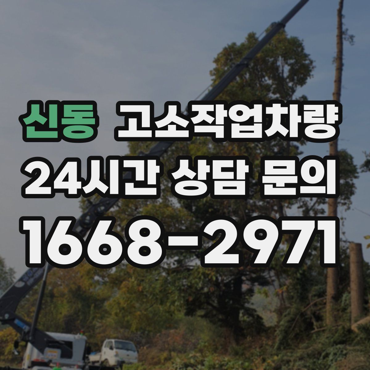 신동 고소작업차량
