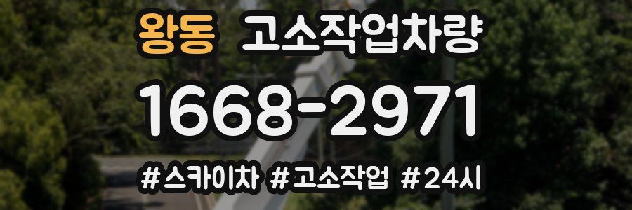 왕동 고소작업차량