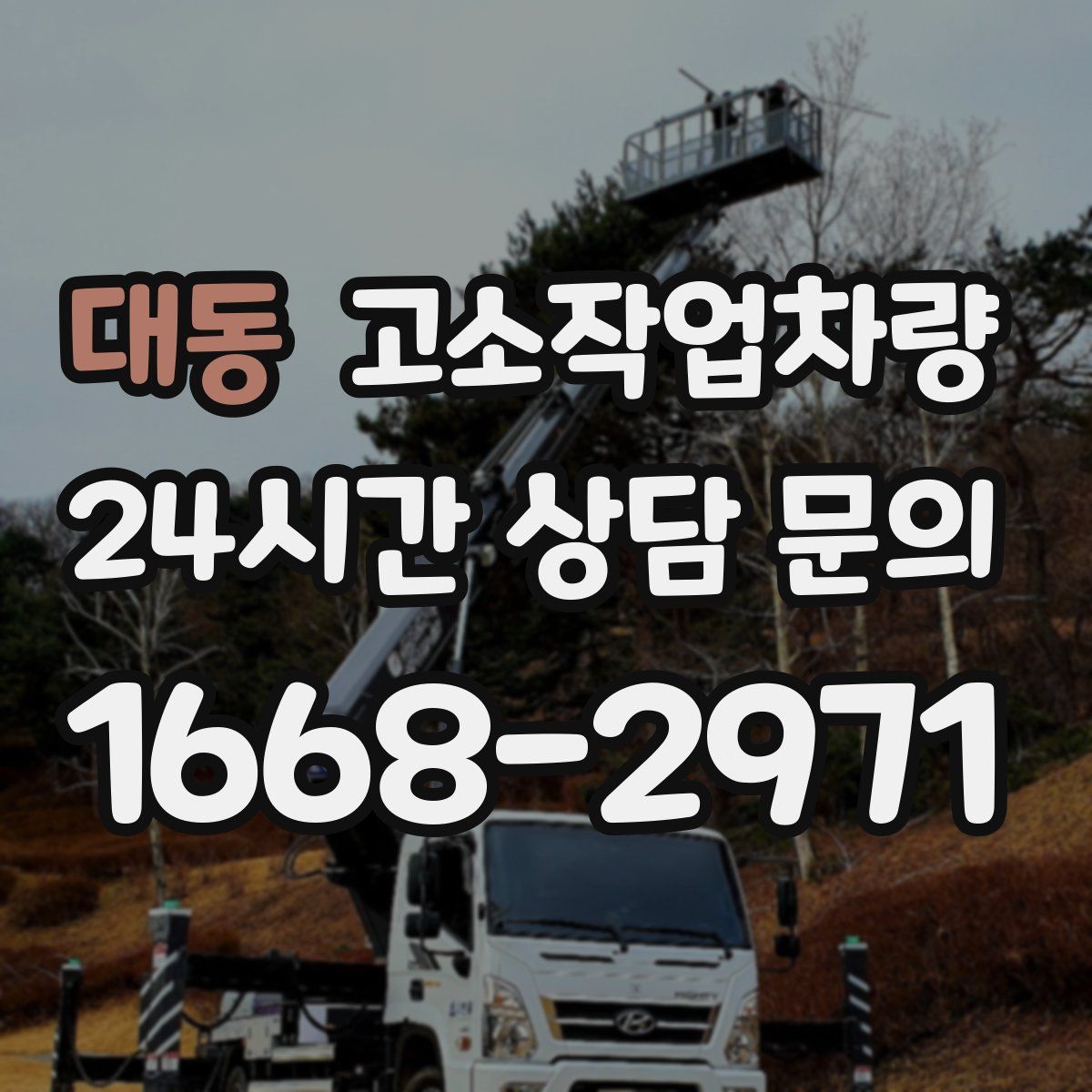 대동 고소작업차량
