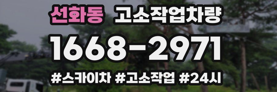 선화동 고소작업차량