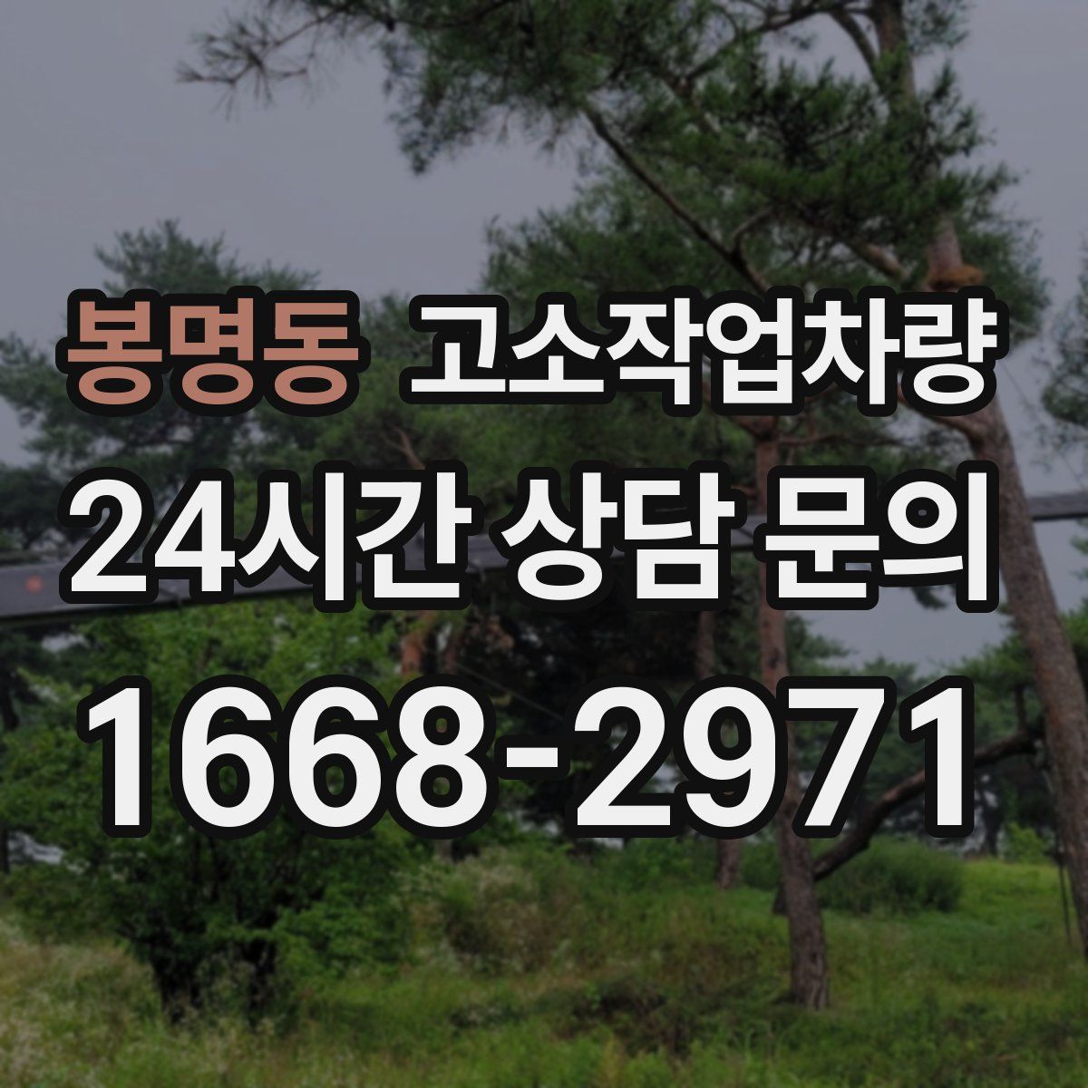 봉명동 고소작업차량