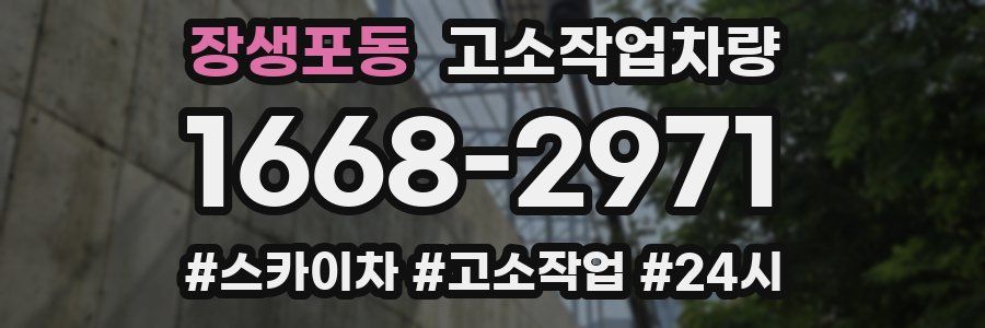 장생포동 고소작업차량