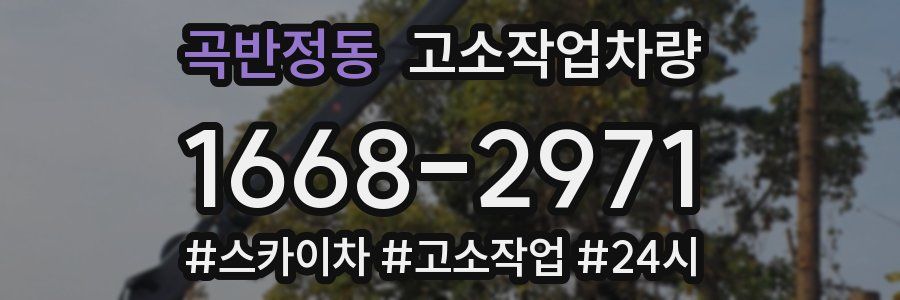 곡반정동 고소작업차량