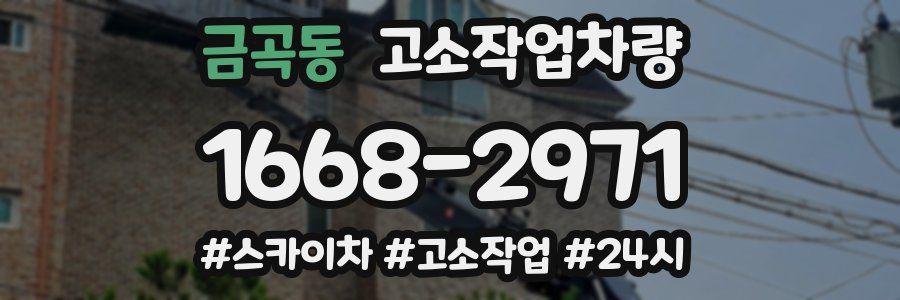 금곡동 고소작업차량