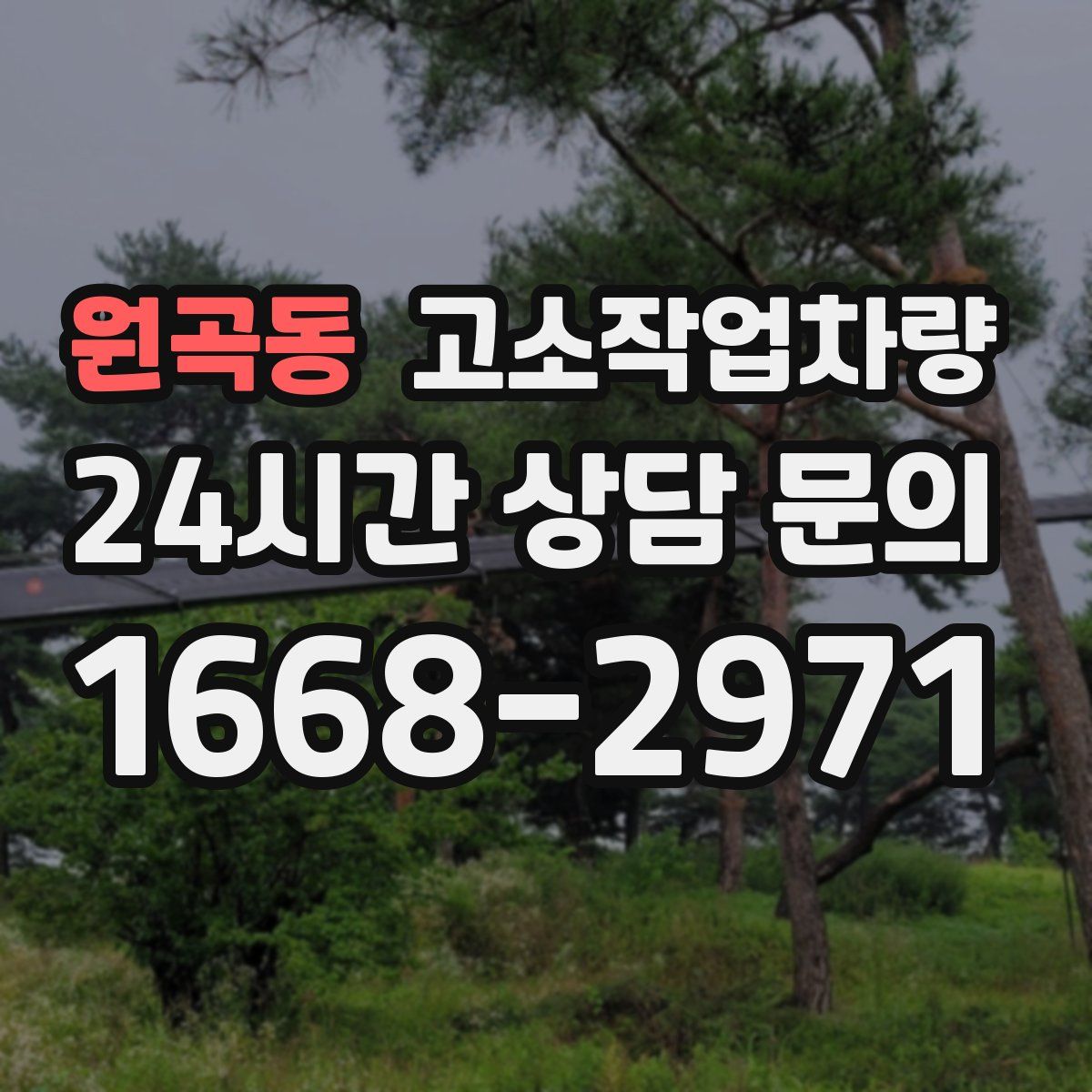 원곡동 고소작업차량