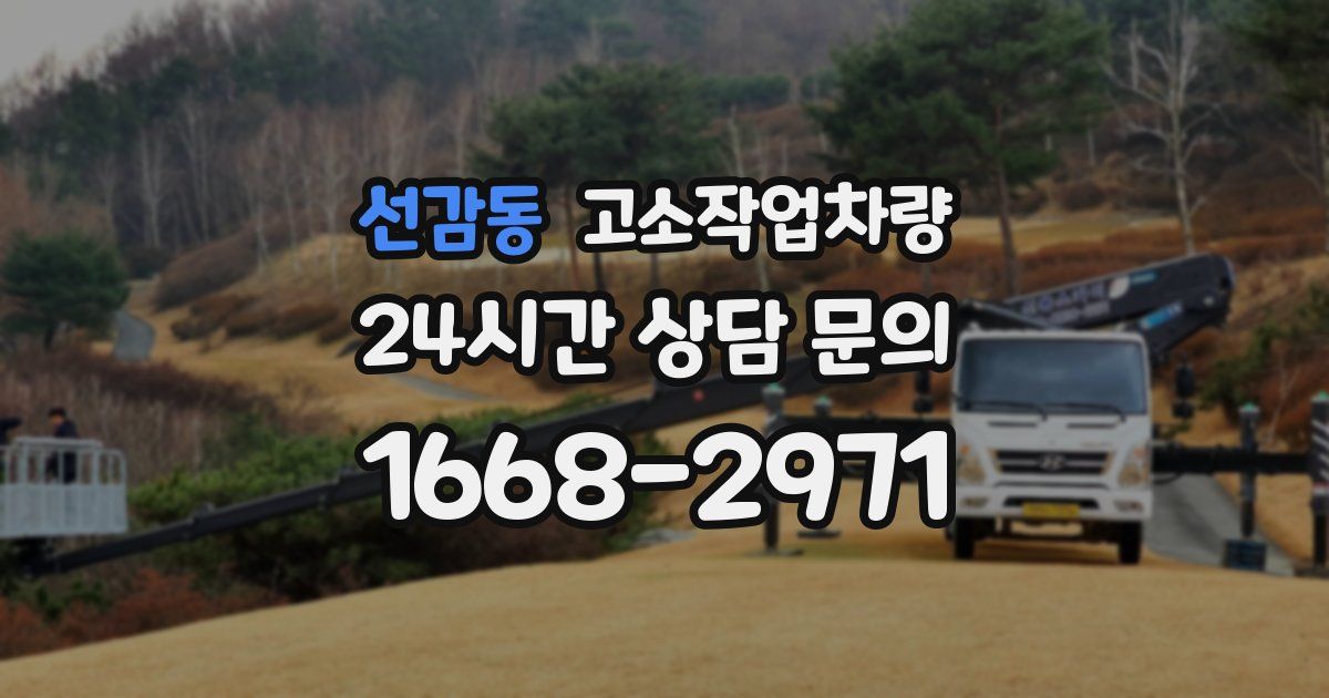 선감동 고소작업차량