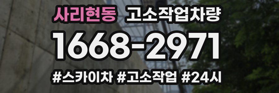 사리현동 고소작업차량