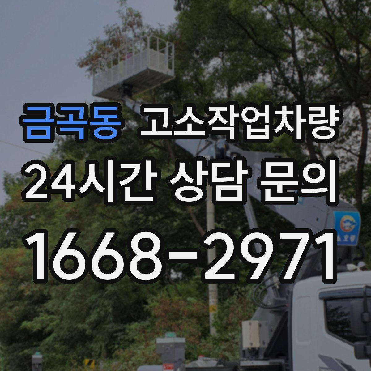 금곡동 고소작업차량