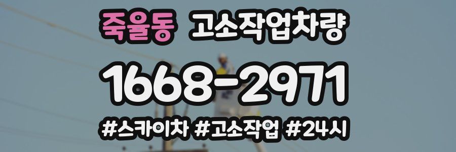 죽율동 고소작업차량