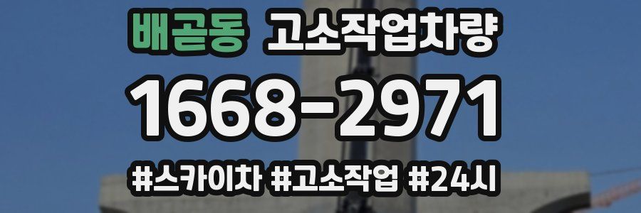 배곧동 고소작업차량