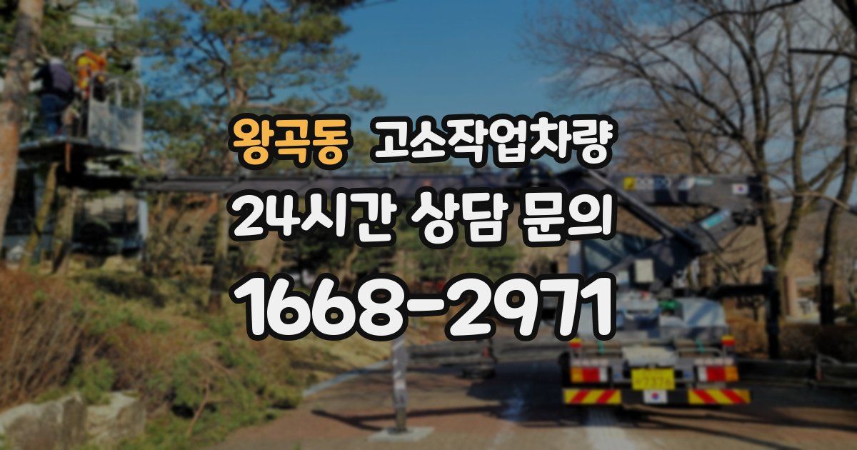 왕곡동 고소작업차량