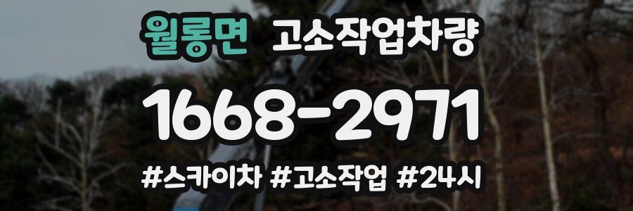 월롱면 고소작업차량