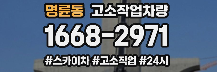 명륜동 고소작업차량