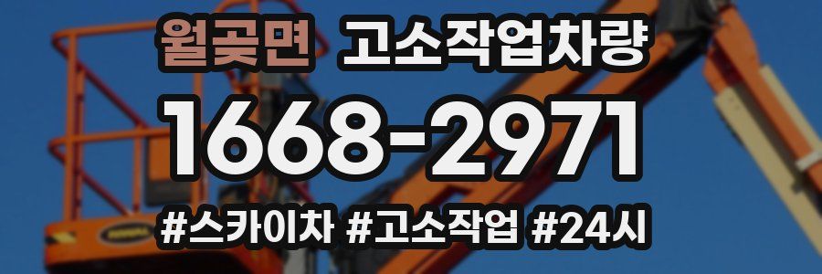 월곶면 고소작업차량
