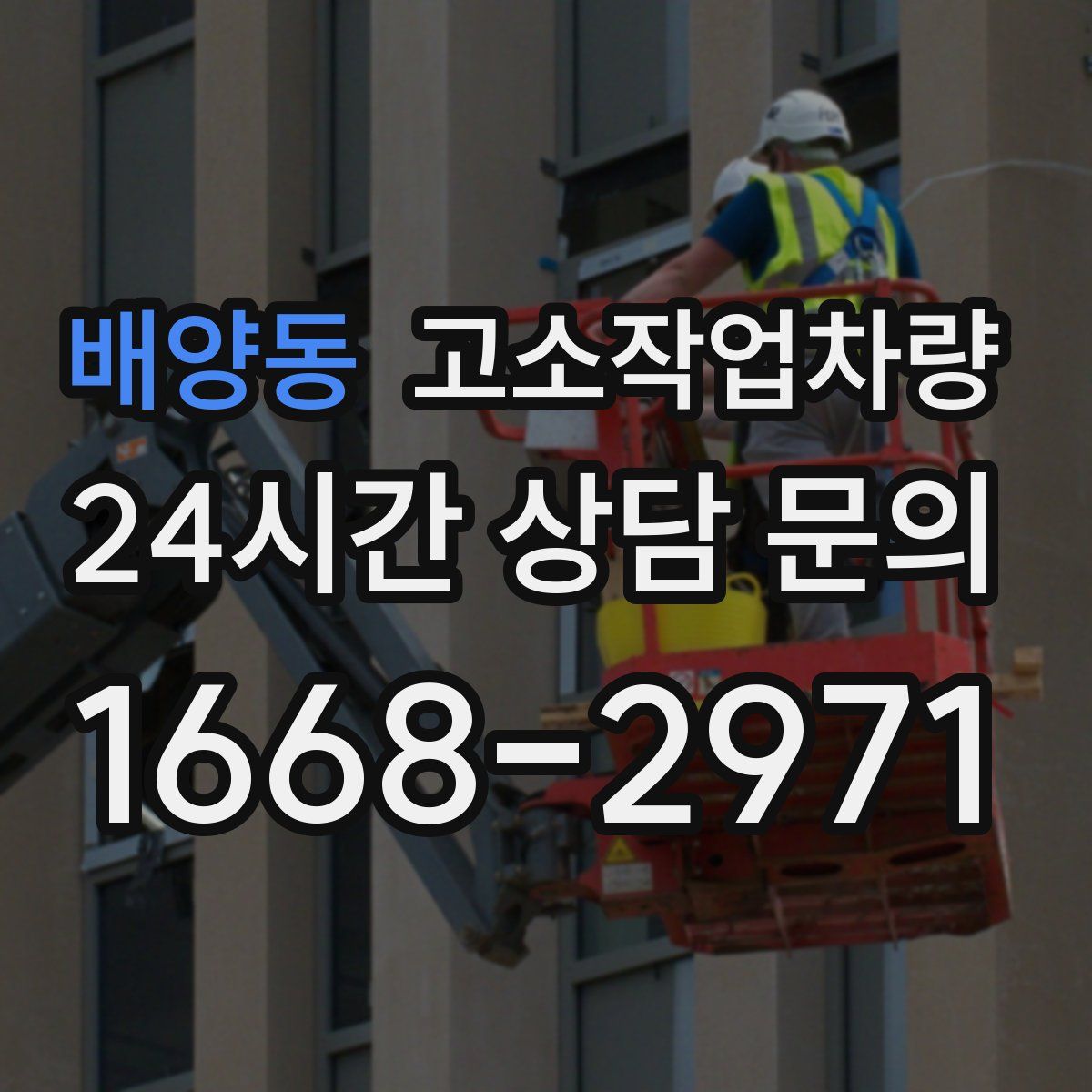 배양동 고소작업차량