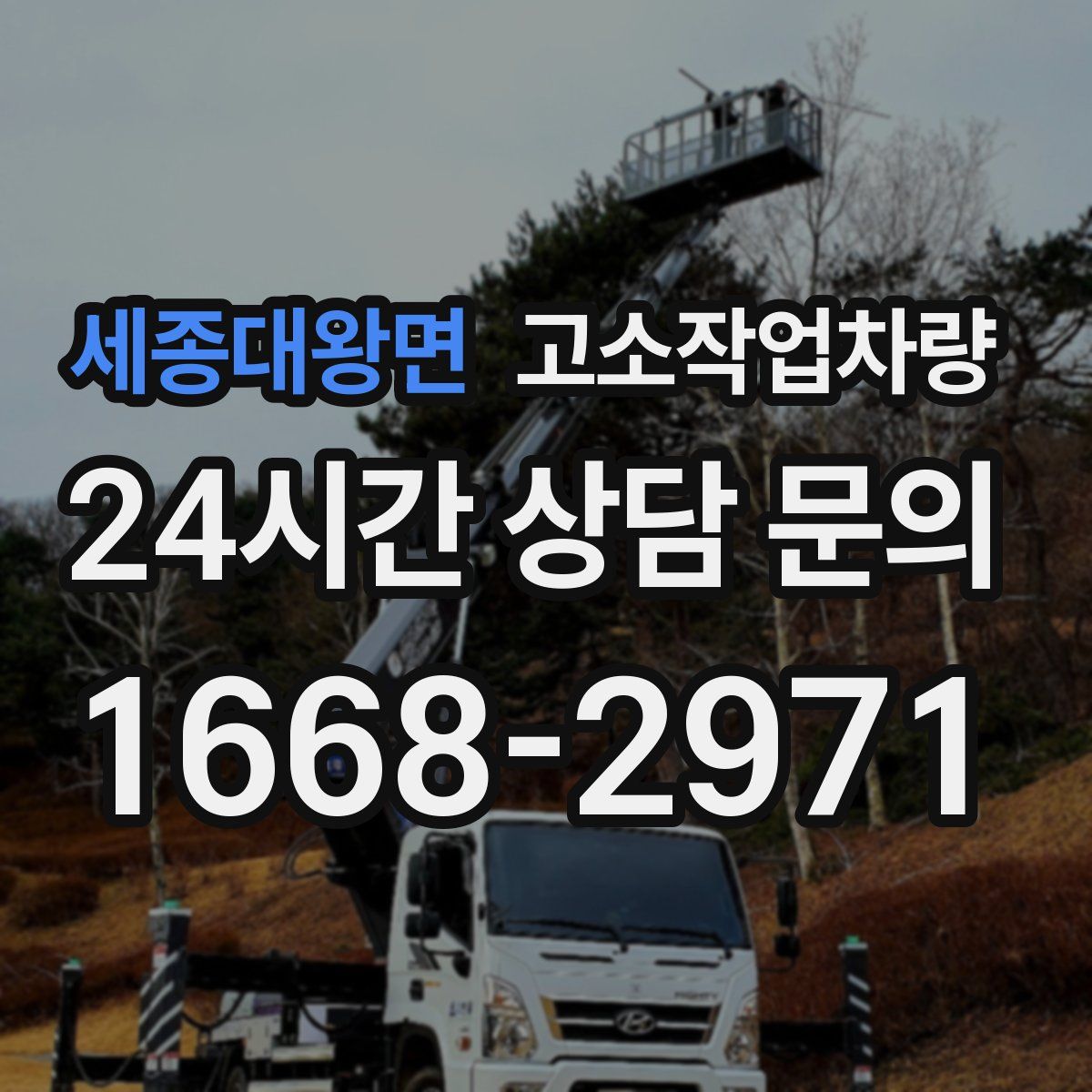 세종대왕면 고소작업차량