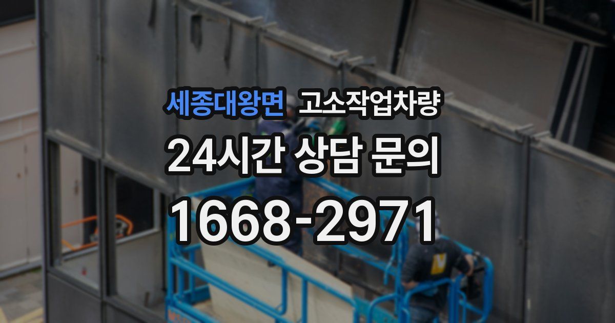 세종대왕면 고소작업차량