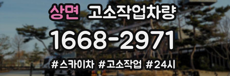 상면 고소작업차량