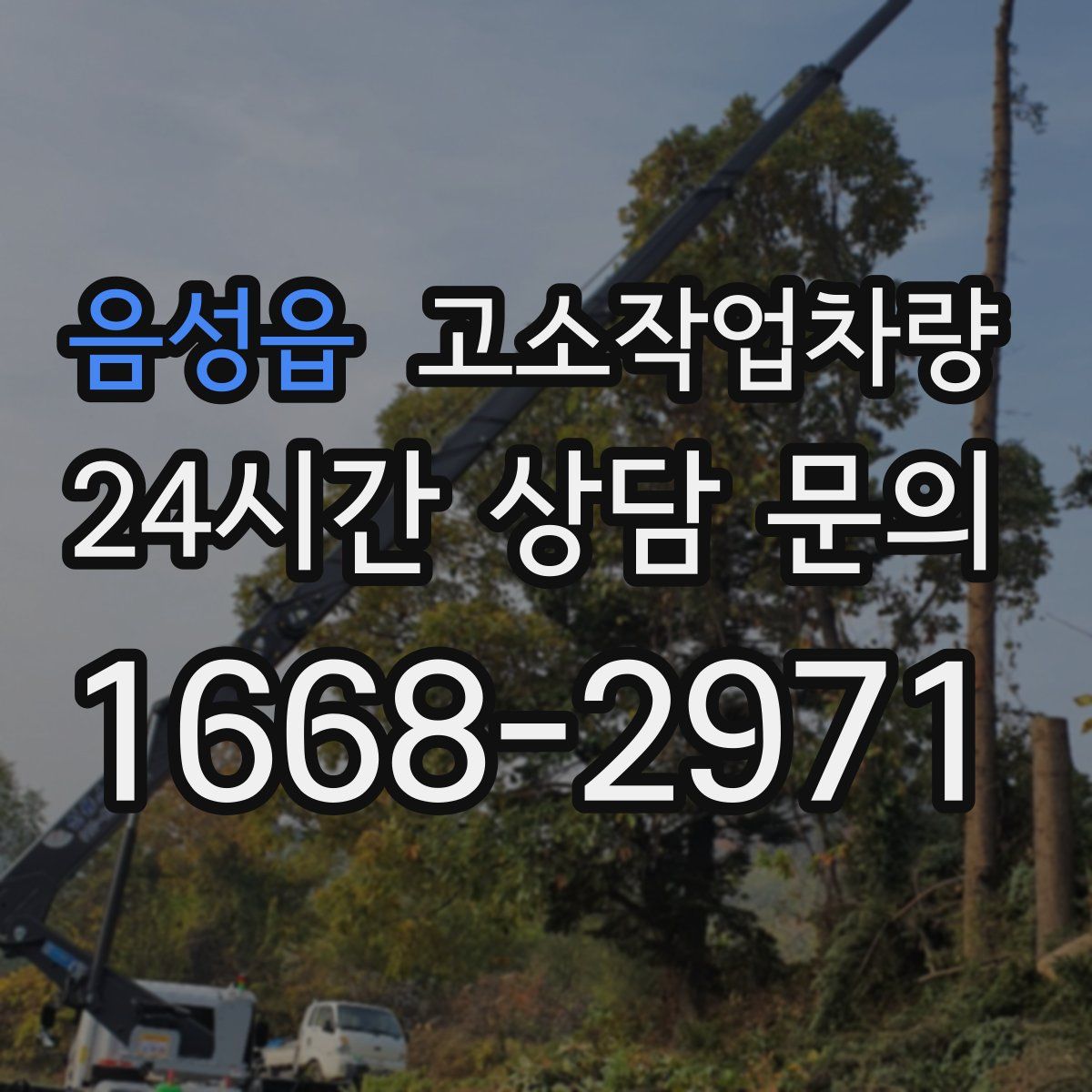 음성읍 고소작업차량