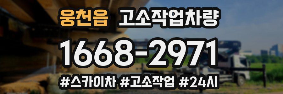 웅천읍 고소작업차량