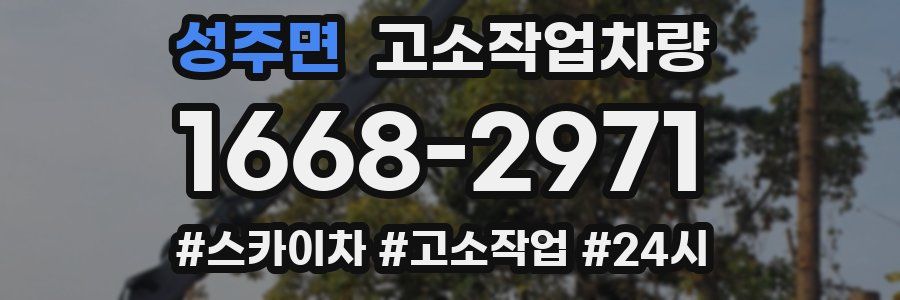 성주면 고소작업차량