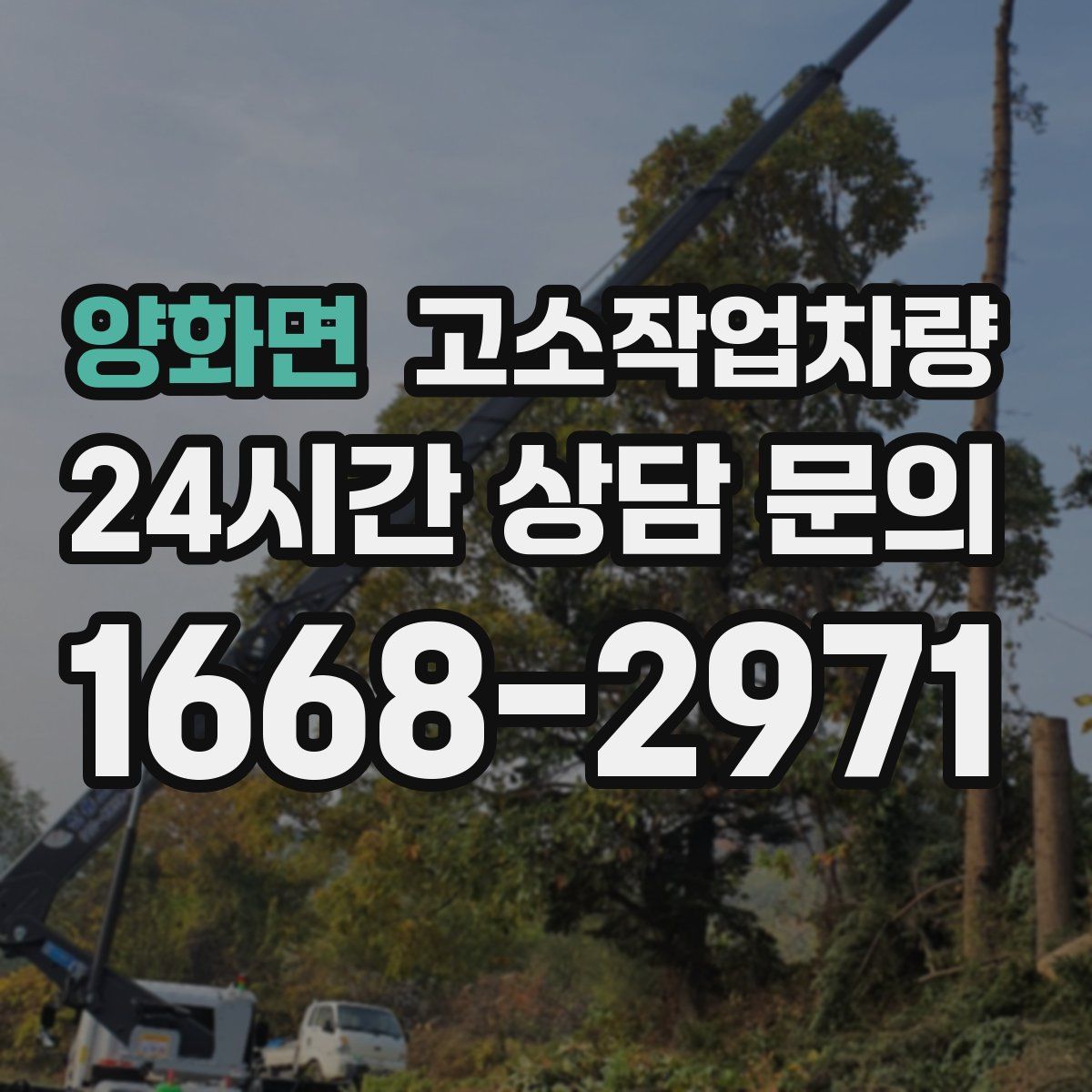 양화면 고소작업차량