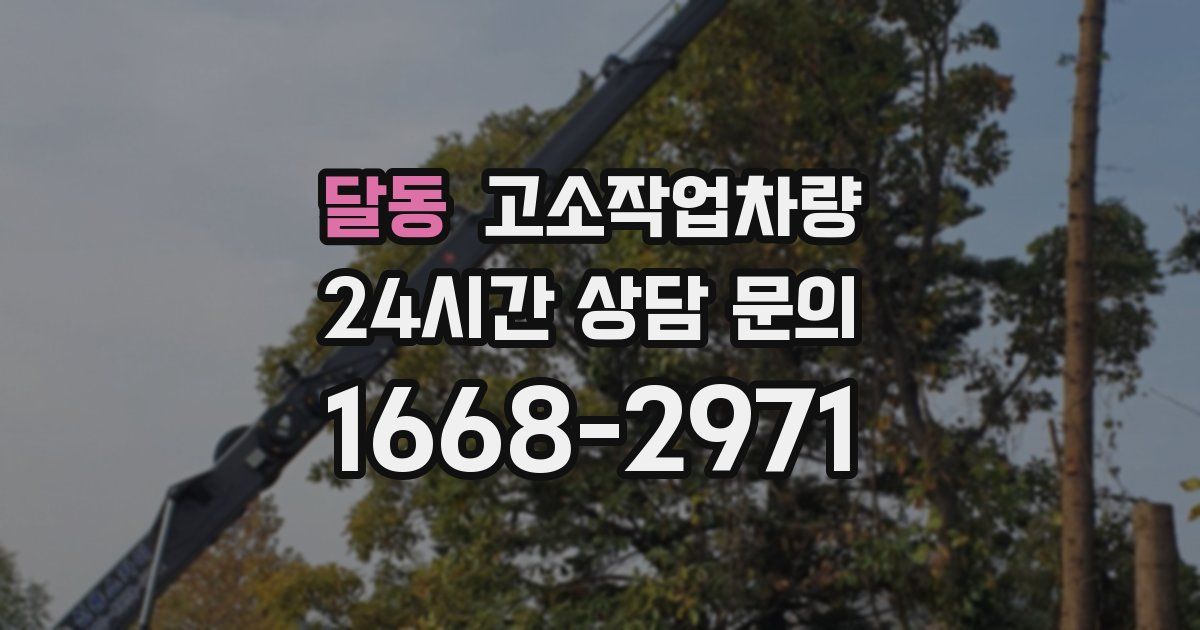 달동 고소작업차량