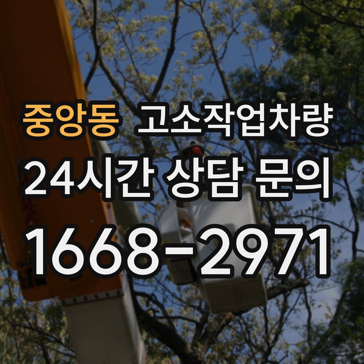 중앙동 고소작업차량