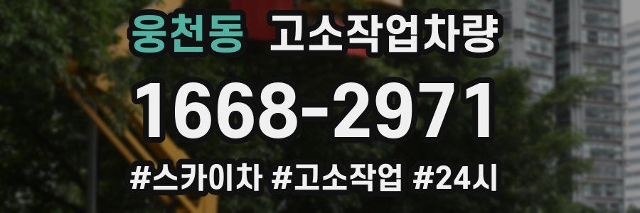 웅천동 고소작업차량