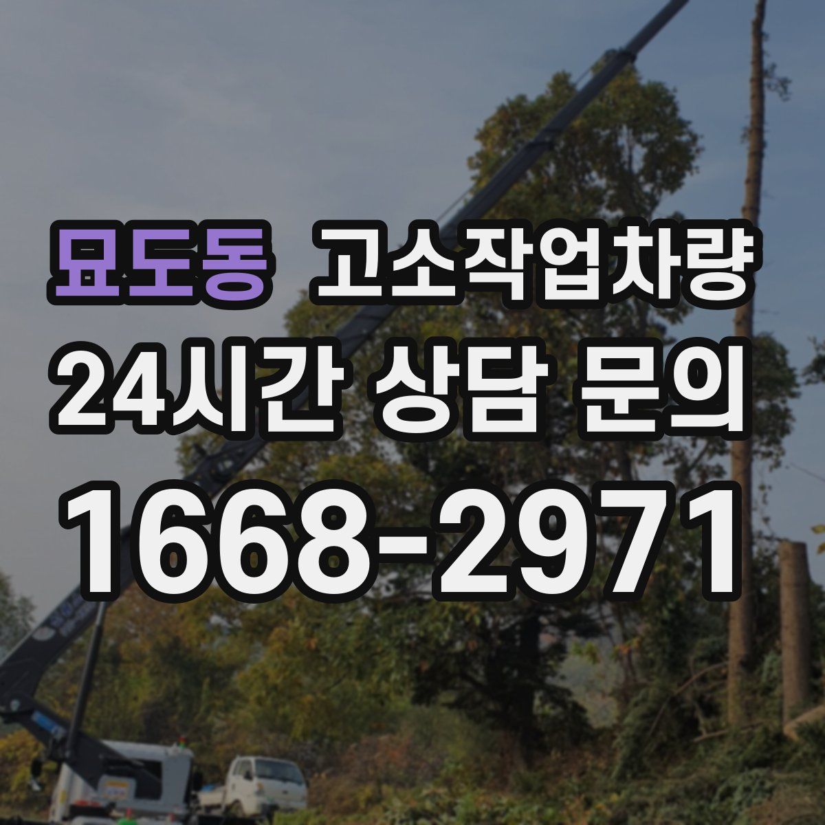 묘도동 고소작업차량