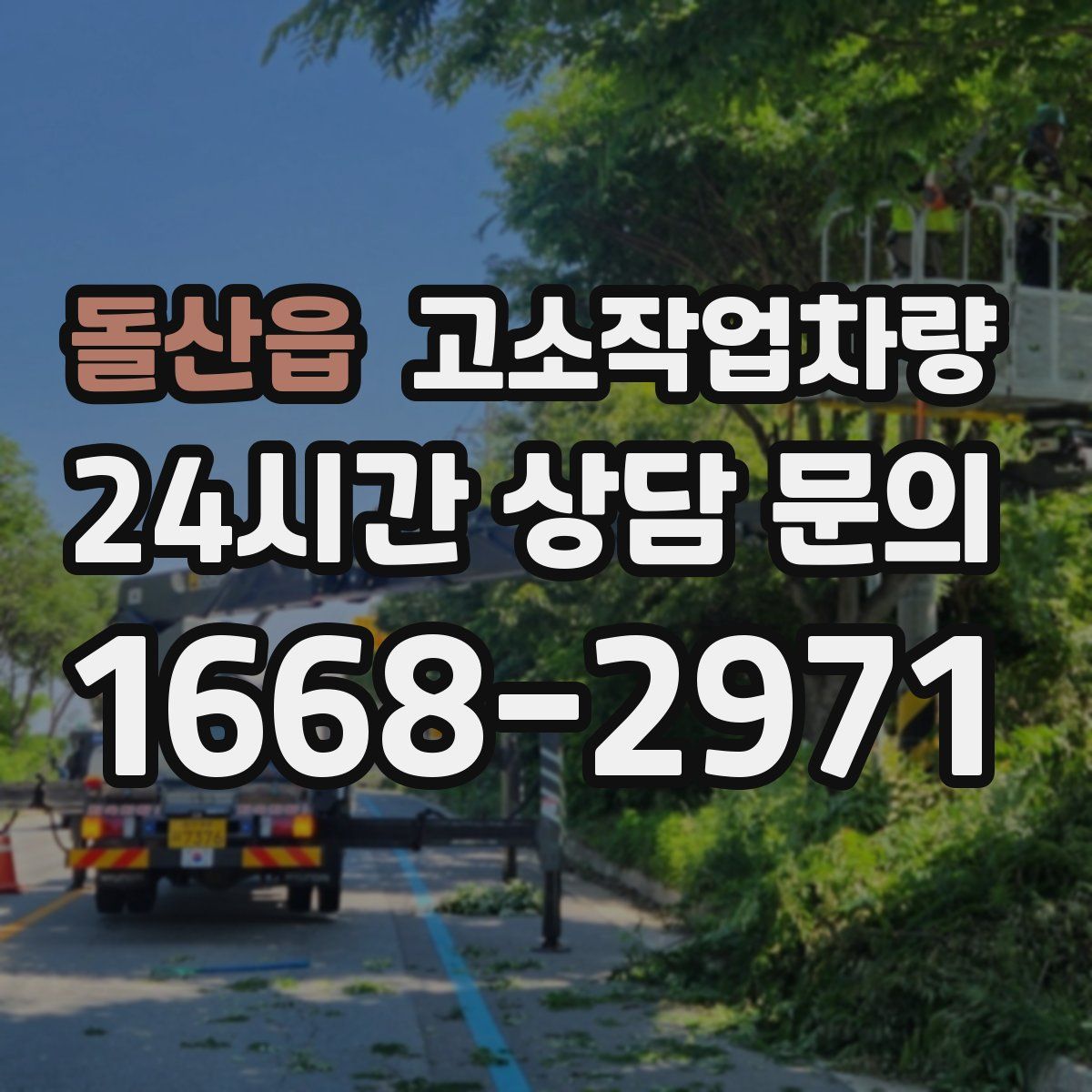 돌산읍 고소작업차량