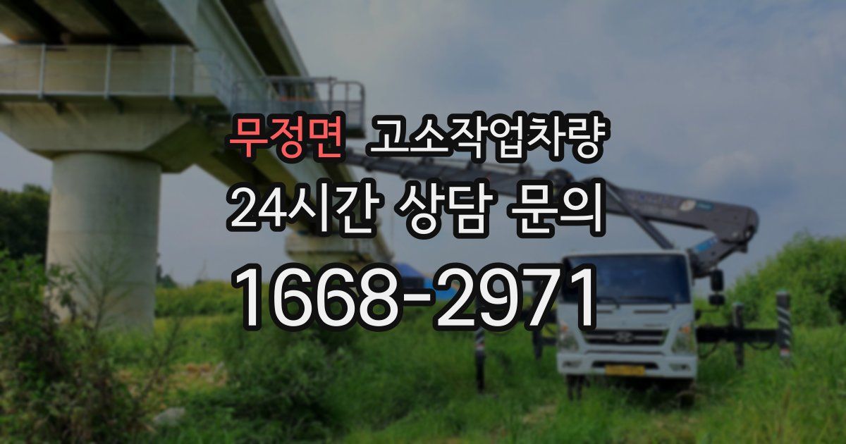 무정면 고소작업차량