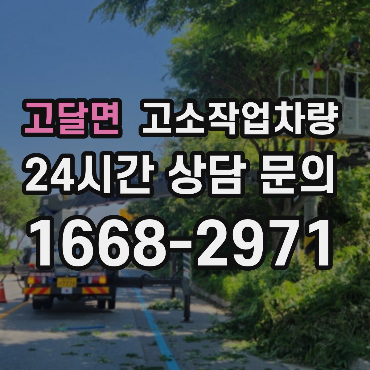 고달면 고소작업차량