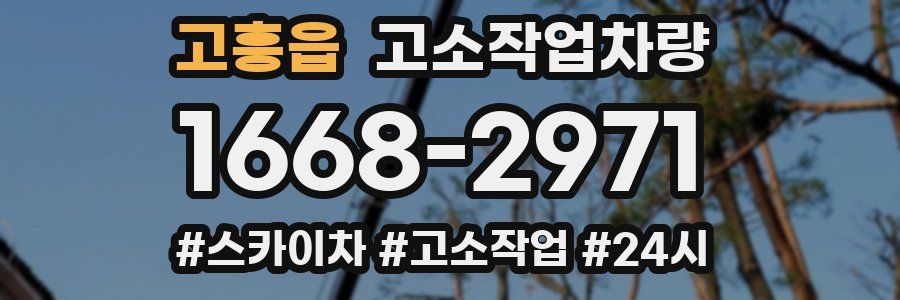 고흥읍 고소작업차량