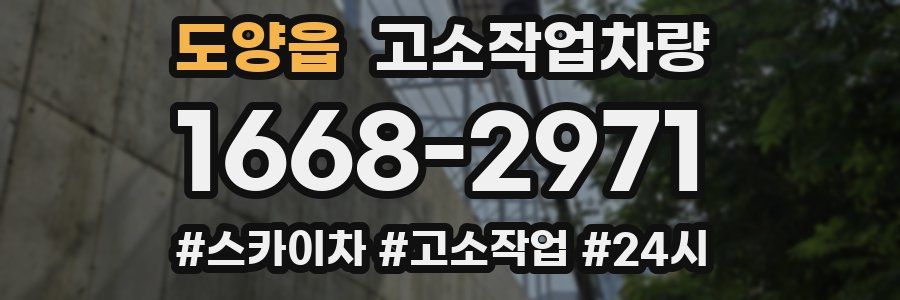 도양읍 고소작업차량