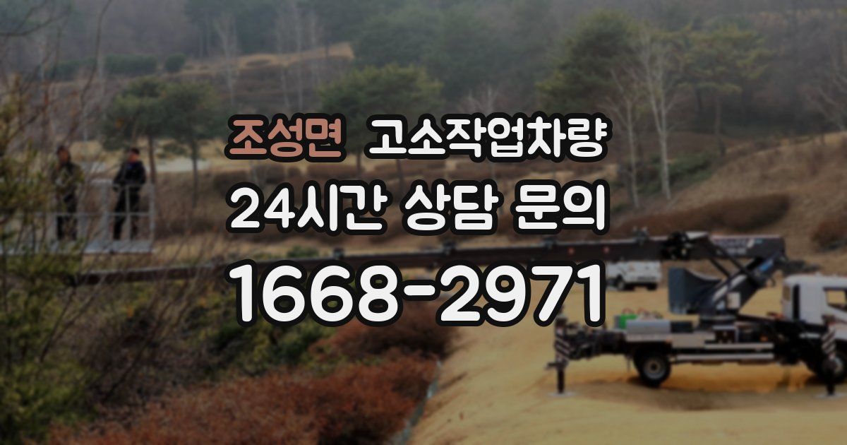 조성면 고소작업차량