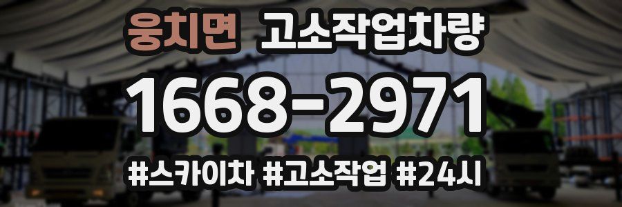 웅치면 고소작업차량