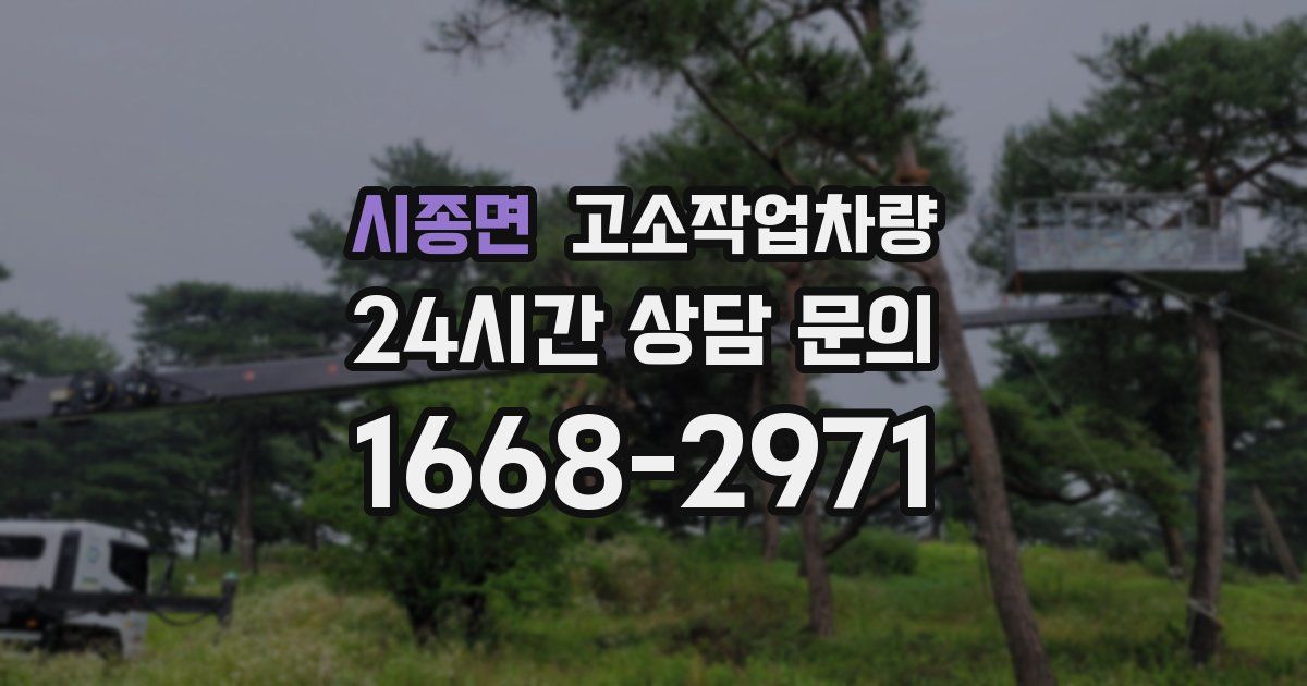 시종면 고소작업차량