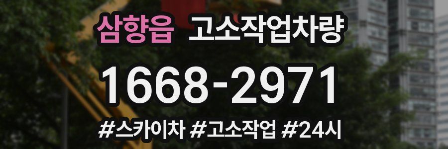 삼향읍 고소작업차량
