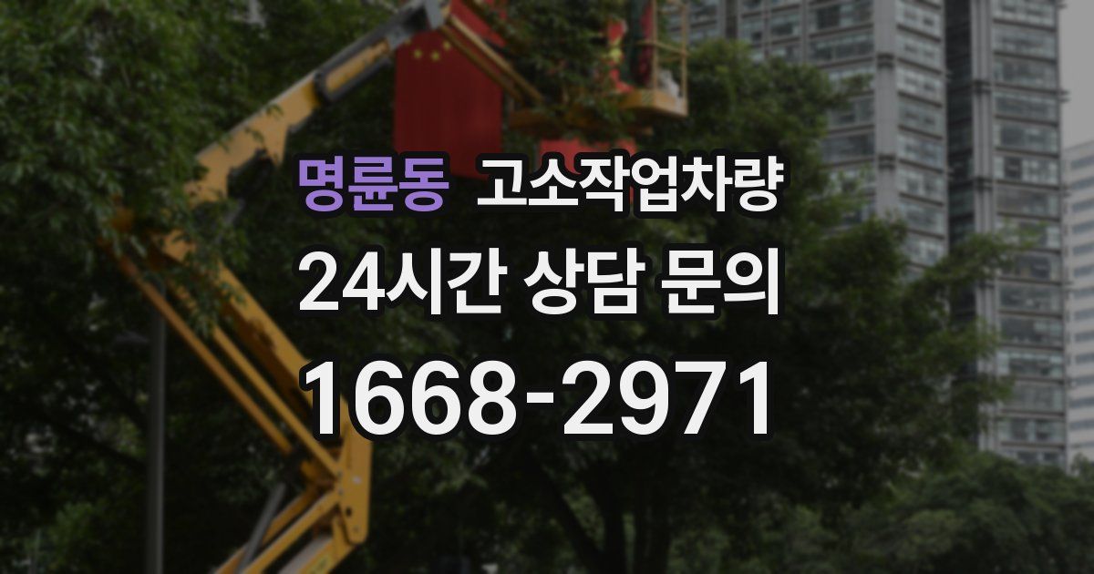 명륜동 고소작업차량