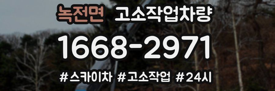 녹전면 고소작업차량