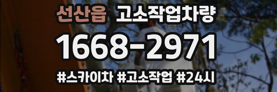 선산읍 고소작업차량