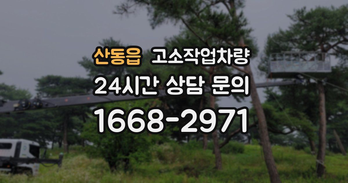 산동읍 고소작업차량