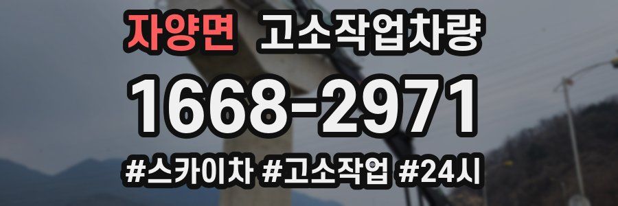 자양면 고소작업차량