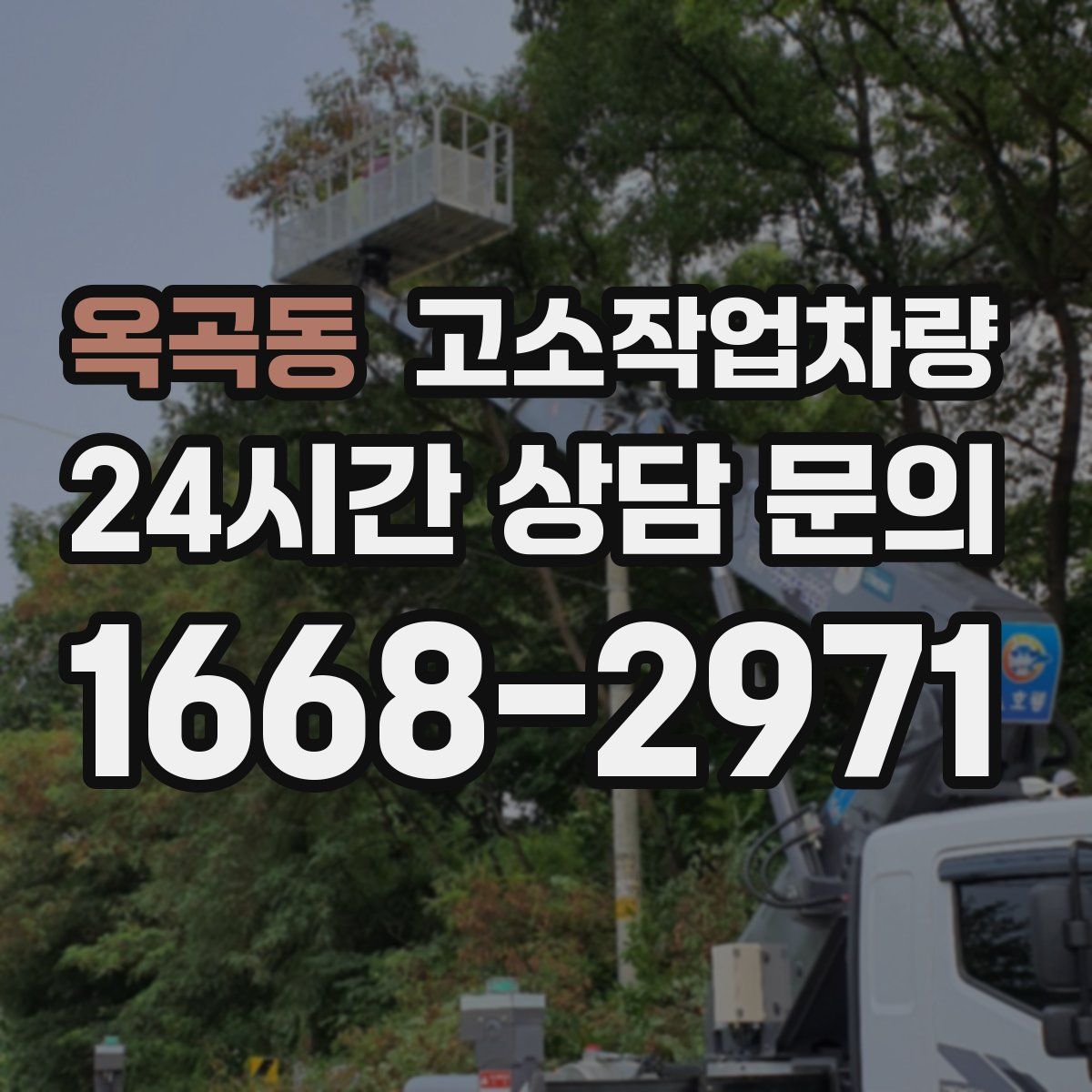 옥곡동 고소작업차량