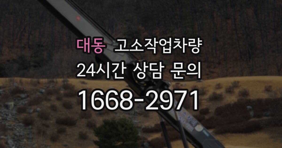 대동 고소작업차량