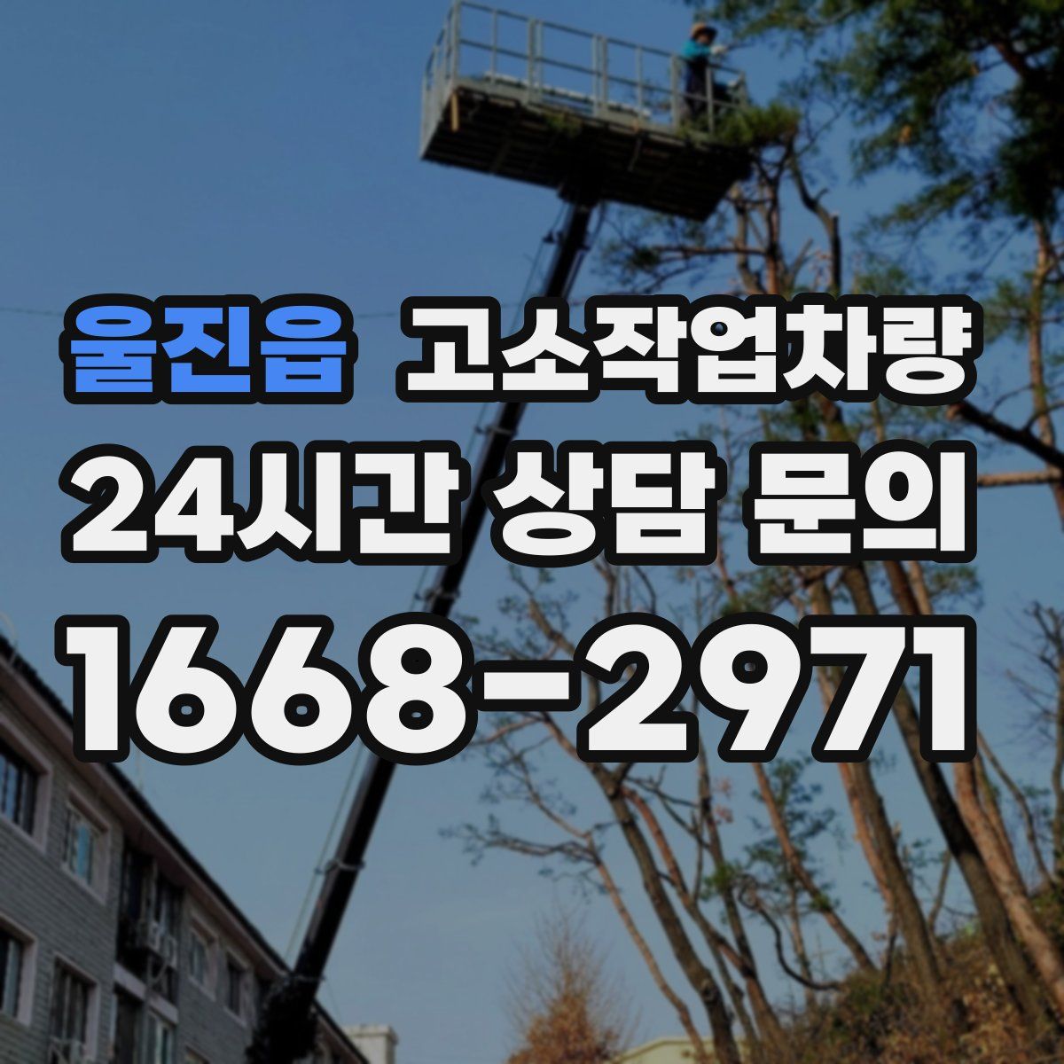 울진읍 고소작업차량