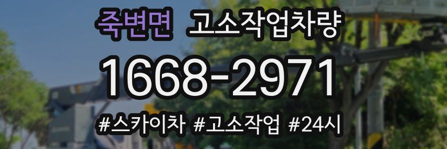 죽변면 고소작업차량