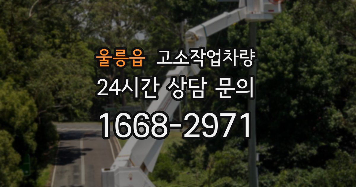 울릉읍 고소작업차량